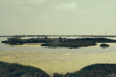 Tortosa-Delta de l'ebre